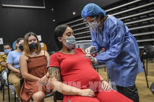 Israel: Vaccine ngừa COVID-19 của Pfizer-BioNTech không ảnh hưởng đến phụ nữ mang thai