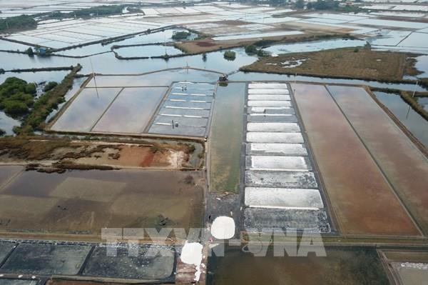 Diện tích sản xuất muối ngày càng bị thu hẹp