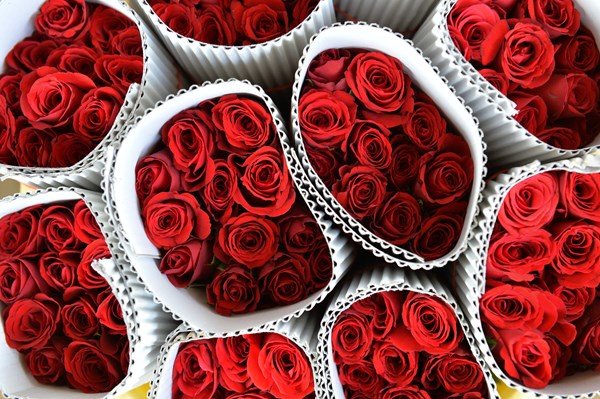 Đi chơi ở đâu với nàng dịp Valentine?
