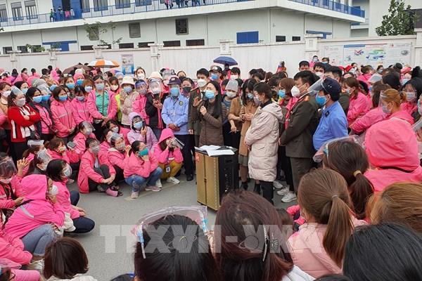 Thông tin mới nhất vụ việc công nhân Công ty Vienergy ngừng việc tập thể