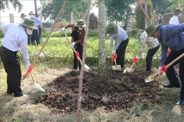 Quản lý thị trường phát động chương trình trồng 65.000 cây xanh