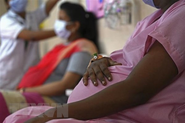 Vaccine ngừa COVID-19 có gây nguy cơ cho thai phụ và trẻ sơ sinh?