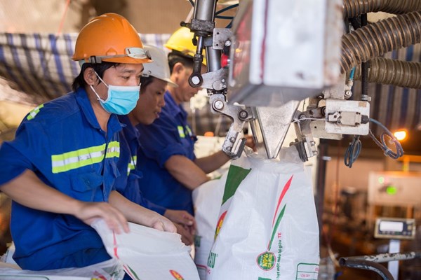 DCM đầu tư nhà máy mới tại Bình Định