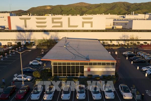 Hơn 400.000 ô tô điện Tesla bị điều tra vì sự cố phanh