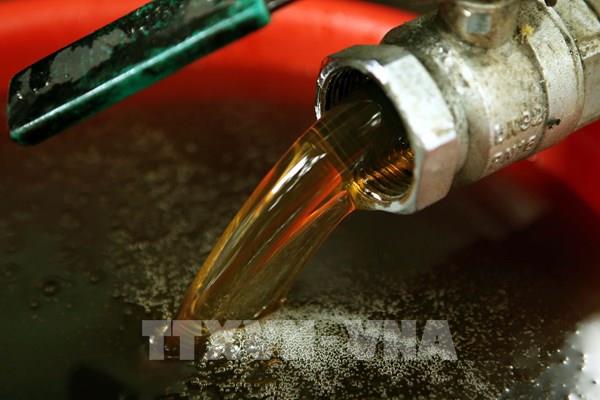 Sản phẩm mật ong bị áp thuế hơn 400%: Sẽ khó xuất khẩu sang thị trường Hoa Kỳ