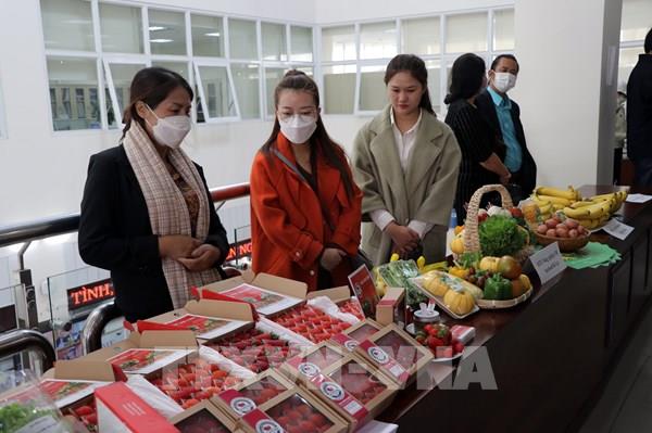 Doanh nghiệp nông sản Lâm Đồng bắt tay với hệ thống bán lẻ WinMart