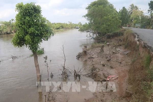 Tiền Giang: Sạt lở đê bao Đông – Tây Ba Rày ảnh hưởng đến đời sống và sản xuất