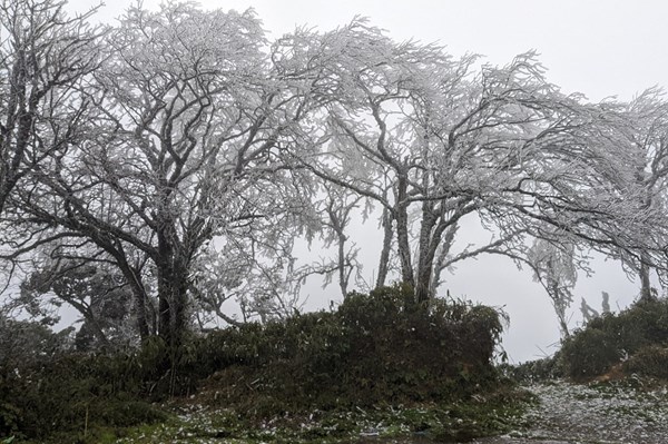 Cao Bằng: Băng giá bao phủ trắng đỉnh Phja Oắc