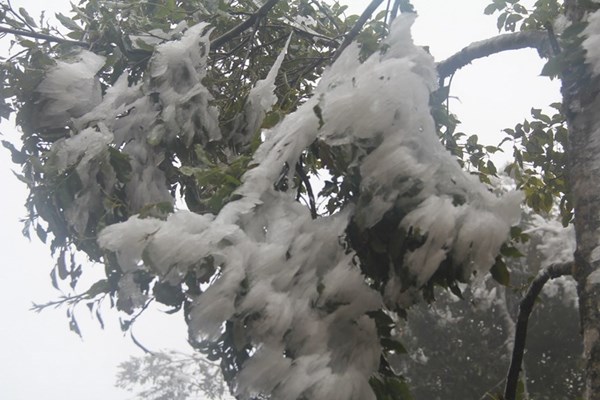 Dự báo thời tiết ngày 23/2: Bắc Bộ đón thêm đợt không khí lạnh tăng cường