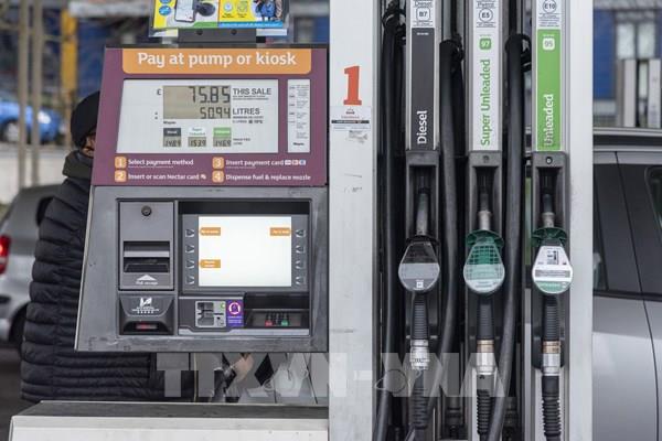 Bộ trưởng Năng lượng các nước Arab: OPEC+ cần tiếp tục thỏa thuận tăng sản lượng