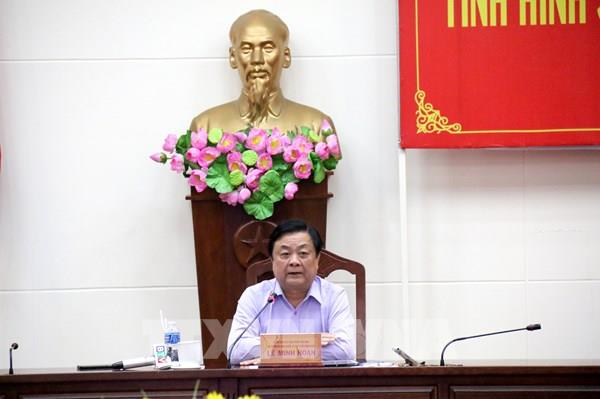 Tìm hướng sản xuất và tiêu thụ thanh long bền vững