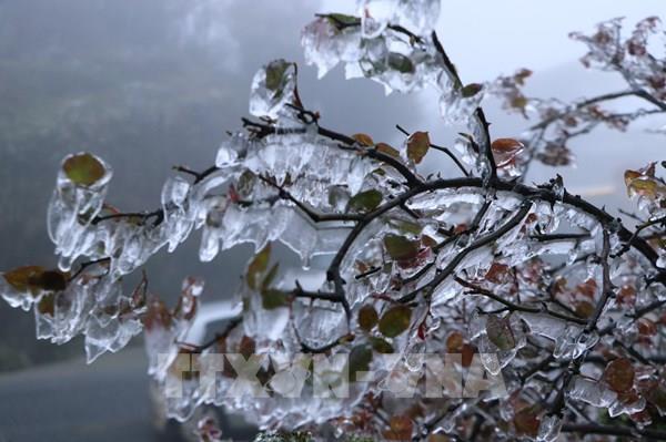 Thời tiết Bắc Bộ 10 ngày tới, vùng núi có khả năng xảy ra mưa tuyết