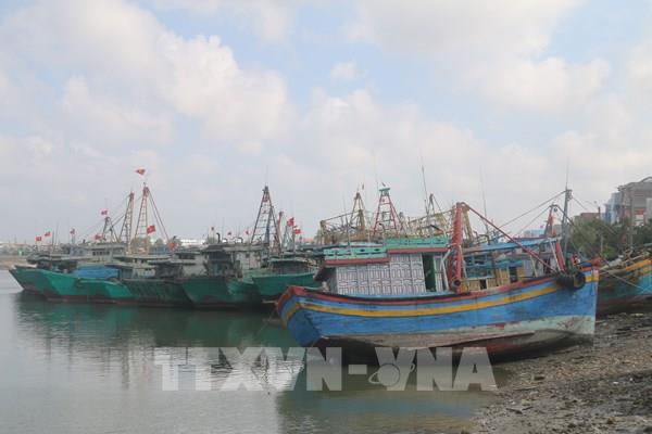 Hàng nghìn con tàu tại Thanh Hóa nằm bờ do giá xăng dầu tăng kỷ lục