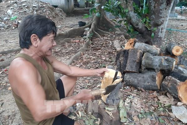 Xăng dầu liên tục tăng: Ngành logistics khó khăn chồng khó khăn