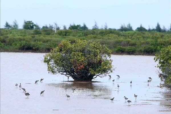 Hàn Quốc hỗ trợ dự án nuôi trồng thủy sản ở Việt Nam