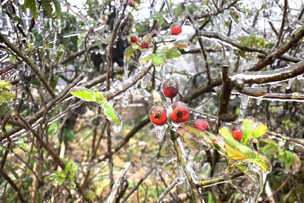 Lạnh sâu kéo dài khiến băng tuyết phủ trắng cao nguyên đá