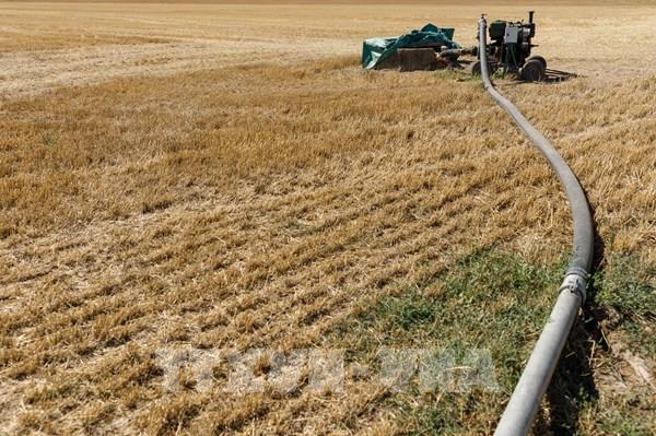 Đức trình EC kế hoạch tài trợ nông nghiệp giai đoạn 2023-2027