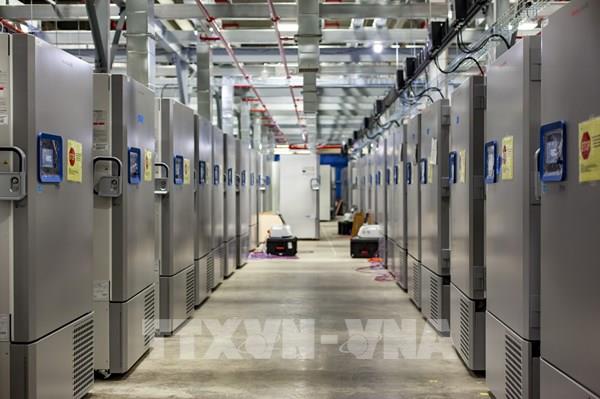 Tìm ra cách bảo quản vaccine mà không cần để lạnh