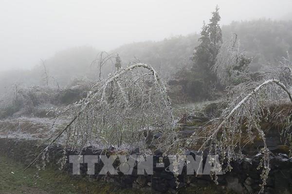 Thời tiết 10 ngày tới sẽ ra sao?