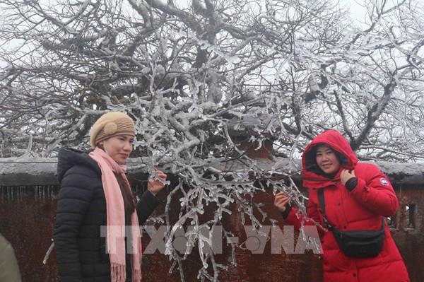 Cao Bằng: Băng giá bảo phủ dày đặc trên đỉnh Ca Dằm