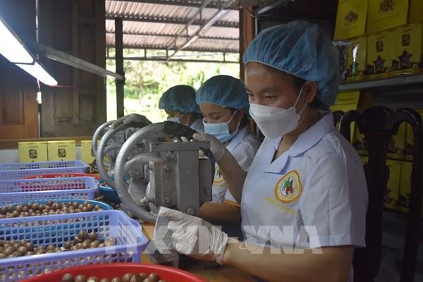 Cơ hội cho nông sản, thực phẩm Việt Nam vào Malaysia