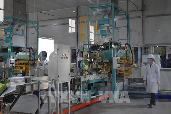 Tăng năng lực cho nhà cung cấp để tham gia sâu chuỗi chế biến chế tạo