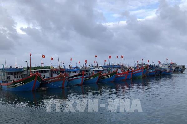 Dự án vũng neo đậu tàu cá Lý Sơn bị chậm tiến độ