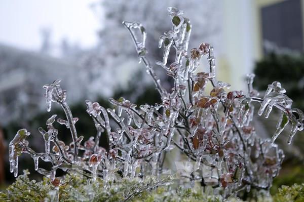 Dự báo thời tiết 24/2: Băng giá, mưa tuyết có thể xuất hiện nhưng không quá khắc nghiệt 