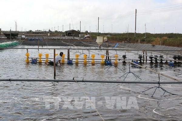 Bạc Liêu xây dựng hạ tầng thủy lợi phát triển nông nghiệp bền vững