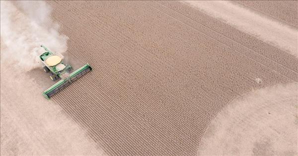 Mỹ, UAE tìm kiếm khoản đầu tư trị giá 4 tỷ USD cho nông nghiệp thông minh