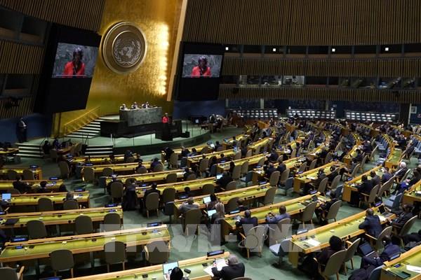Đại hội đồng LHQ kêu gọi tìm giải pháp cho vấn đề Ukraine