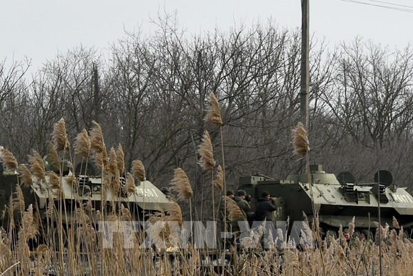 Nga tìm cách giảm thiểu tác động từ các biện pháp trừng phạt của phương Tây