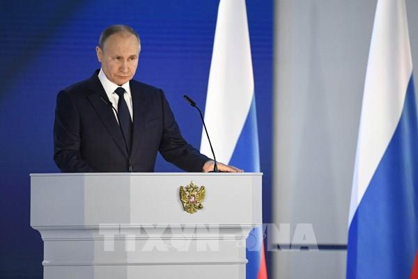 Tổng thống V.Putin: Nga không có kế hoạch chiếm đóng lãnh thổ Ukraine