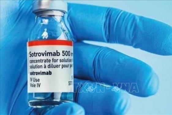 FDA Mỹ: Không sử dụng Sotrovimab điều trị người nhiễm “Omicron tàng hình”