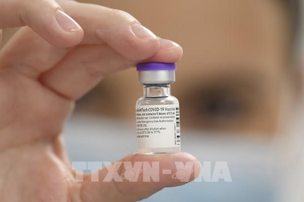 EMA phê duyệt vaccine của Pfizer để tiêm tăng cường cho người trên 12 tuổi