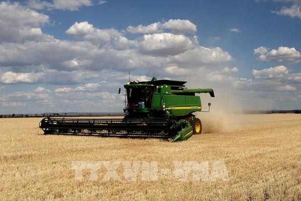 Biến đổi khí hậu có thể tác động tiêu cực tới nguồn cung lương thực của Australia