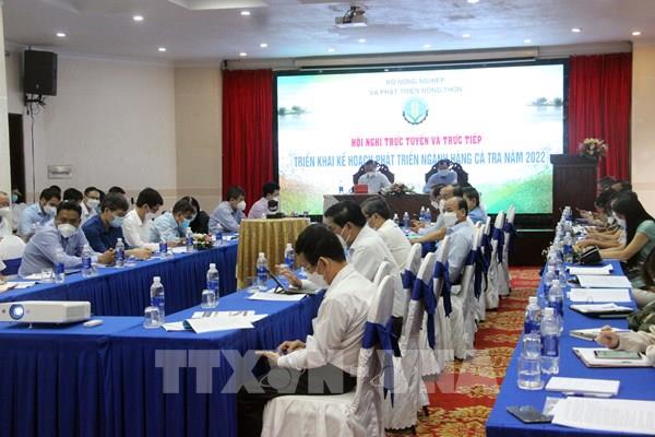 Ngành hàng cá tra hướng tới xuất khẩu trên 1,6 tỷ USD