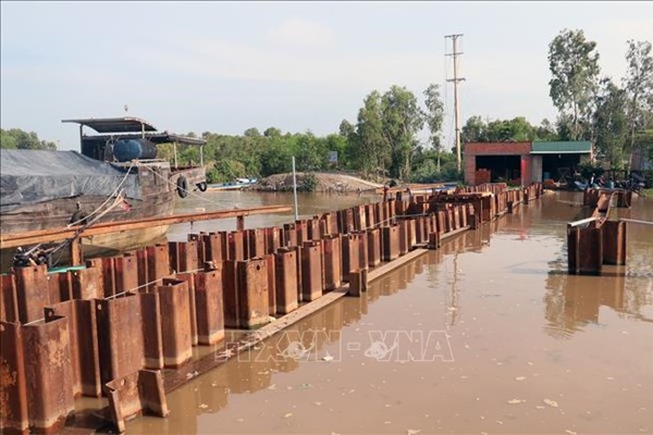 Long An đắp 6 đập tạm ngăn mặn cho vùng sản xuất gần 134.000 ha