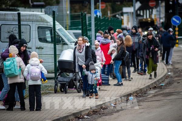 EU đồng thuận tiếp nhận người tị nạn từ Ukraine
