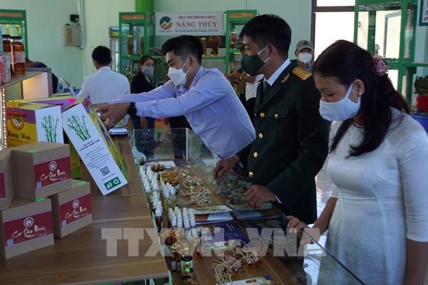 Đưa vào hoạt động Trung tâm giới thiệu, tổ chức hội chợ sâm Ngọc Linh