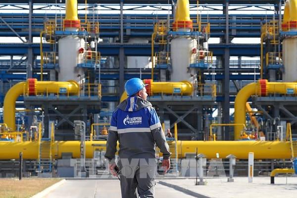 Công ty điều hành Dòng chảy phương Bắc 2 tuyên bố phá sản