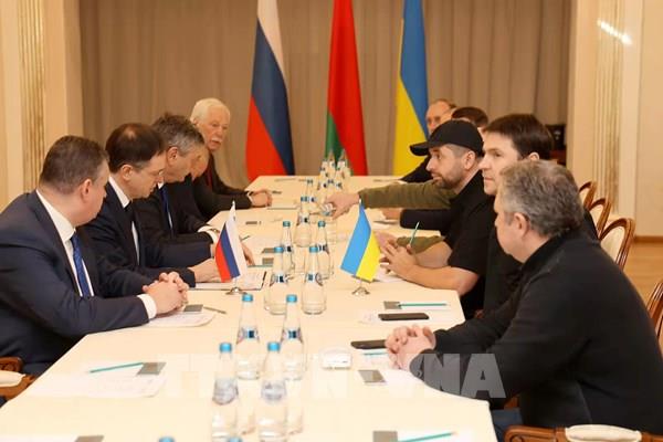 Nga công bố nội dung hòa đàm vòng hai với Ukraine