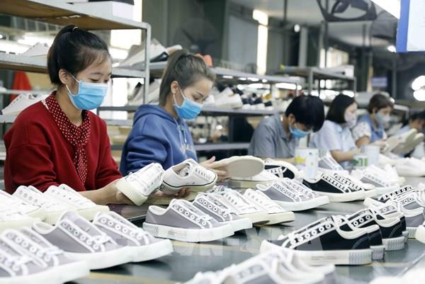 Các nhà nhập khẩu Australia quan tâm đến hàng dệt may, da giày Việt Nam