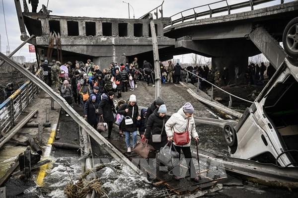 Ukraine để ngỏ khả năng thảo luận về “các mô hình phi NATO”