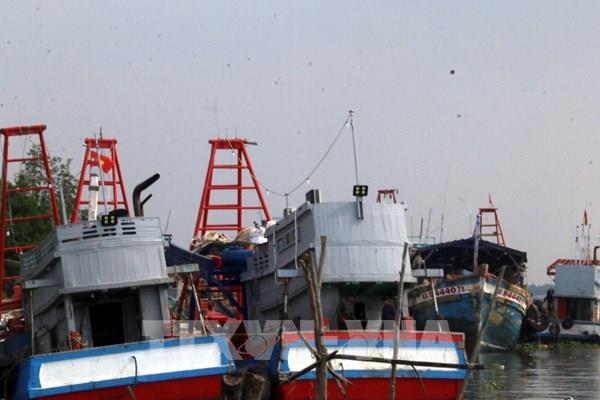 Giải pháp nào cho tàu cá nằm bờ?