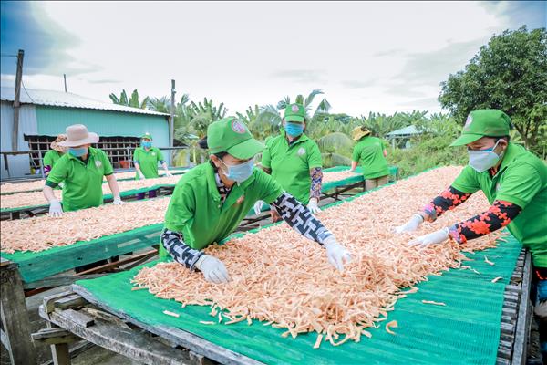 Công cụ hỗ trợ trực diện cho phụ nữ làm giàu