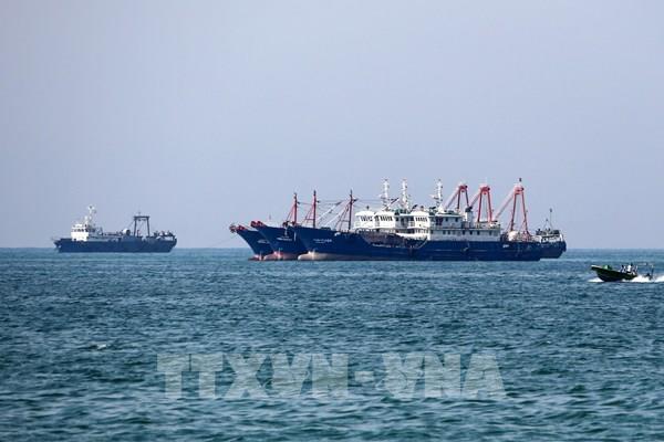 Căng thẳng Nga-Ukraine ảnh hưởng nhiều tới thị trường bảo hiểm hàng hải