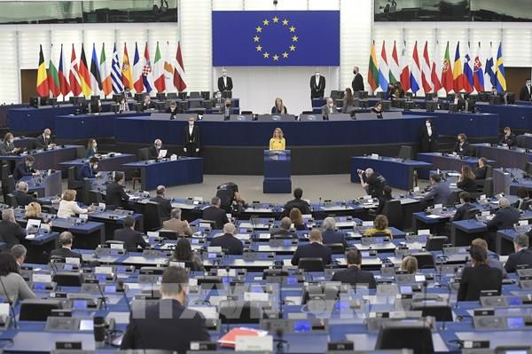 EP thông qua luật cấm nhập khẩu sản phẩm có liên quan hoạt động phá rừng