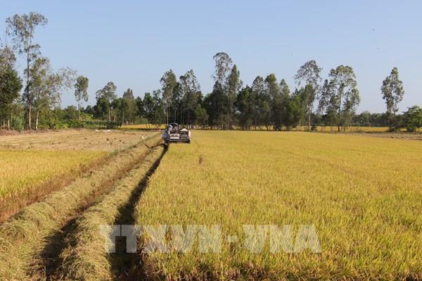 Phát triển vùng: Xoá bỏ xung đột lợi ích "Mạnh ai nấy làm"!