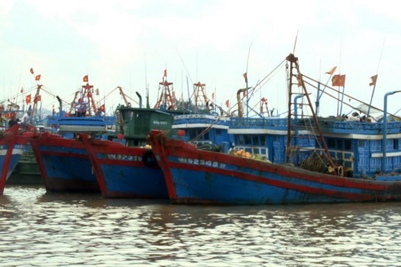 Khắc phục “thẻ vàng" IUU: Nguy cơ tiềm ẩn ở Bến Tre